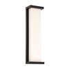 Dweled Case 20in LED Indoor and Outdoor Wall Light 3000K in Black WS-W478